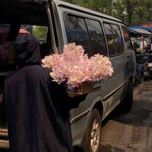 人间中毒电视剧免费观看全集在线天才酷客游戏法
